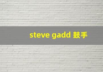 steve gadd 鼓手